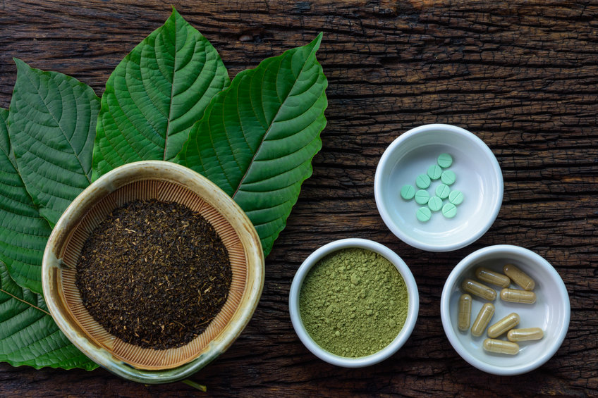 Mitragyna speciosa (kratom) leaves with medicine products in powder, capsules and tablet in white ceramic bowl