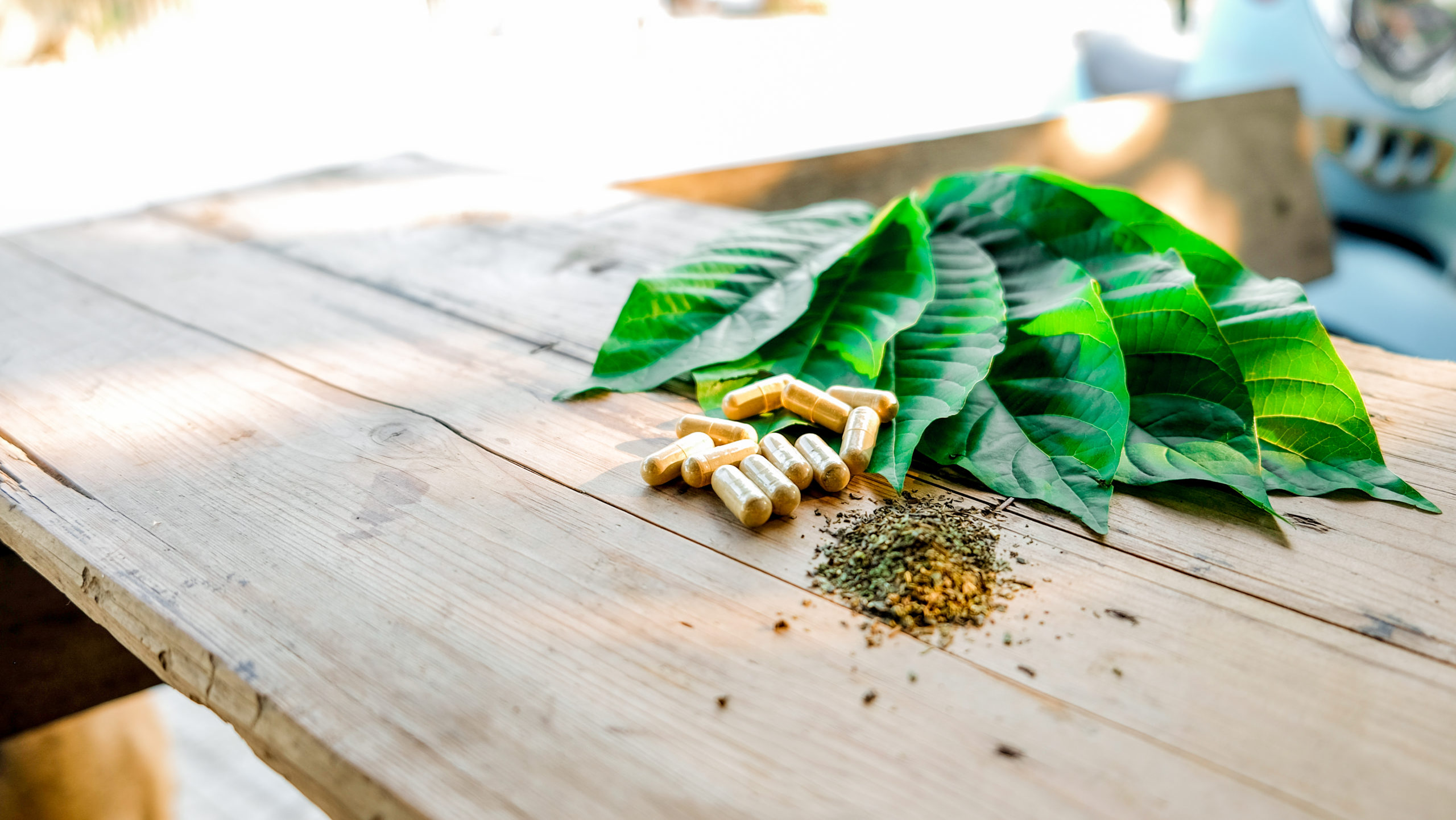 selective focus of capsule and powder on kratom leaf (Mitragyna speciosa) Mitragynine on wooden ,Drugs and Narcotics,Thai herbal which encourage health