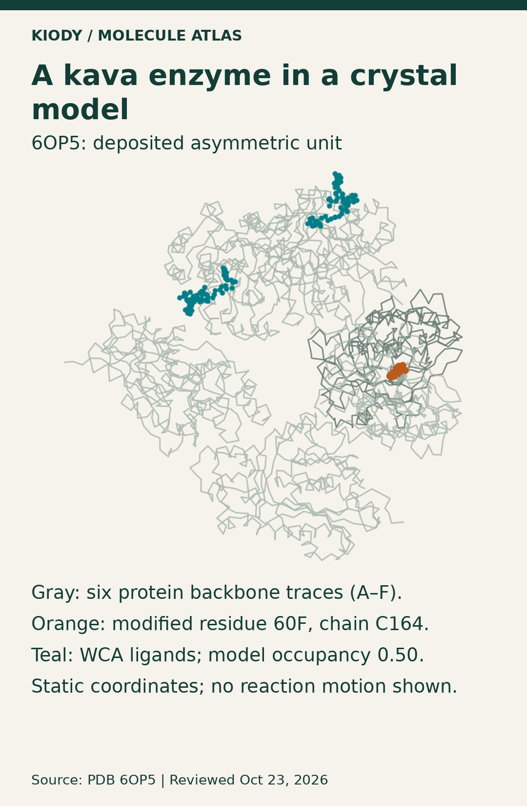Six gray protein backbone traces from 6OP5, with modified residue orange and separate ligands teal; labels identify a static asymmetric unit and ligand model occupancy 0.50.